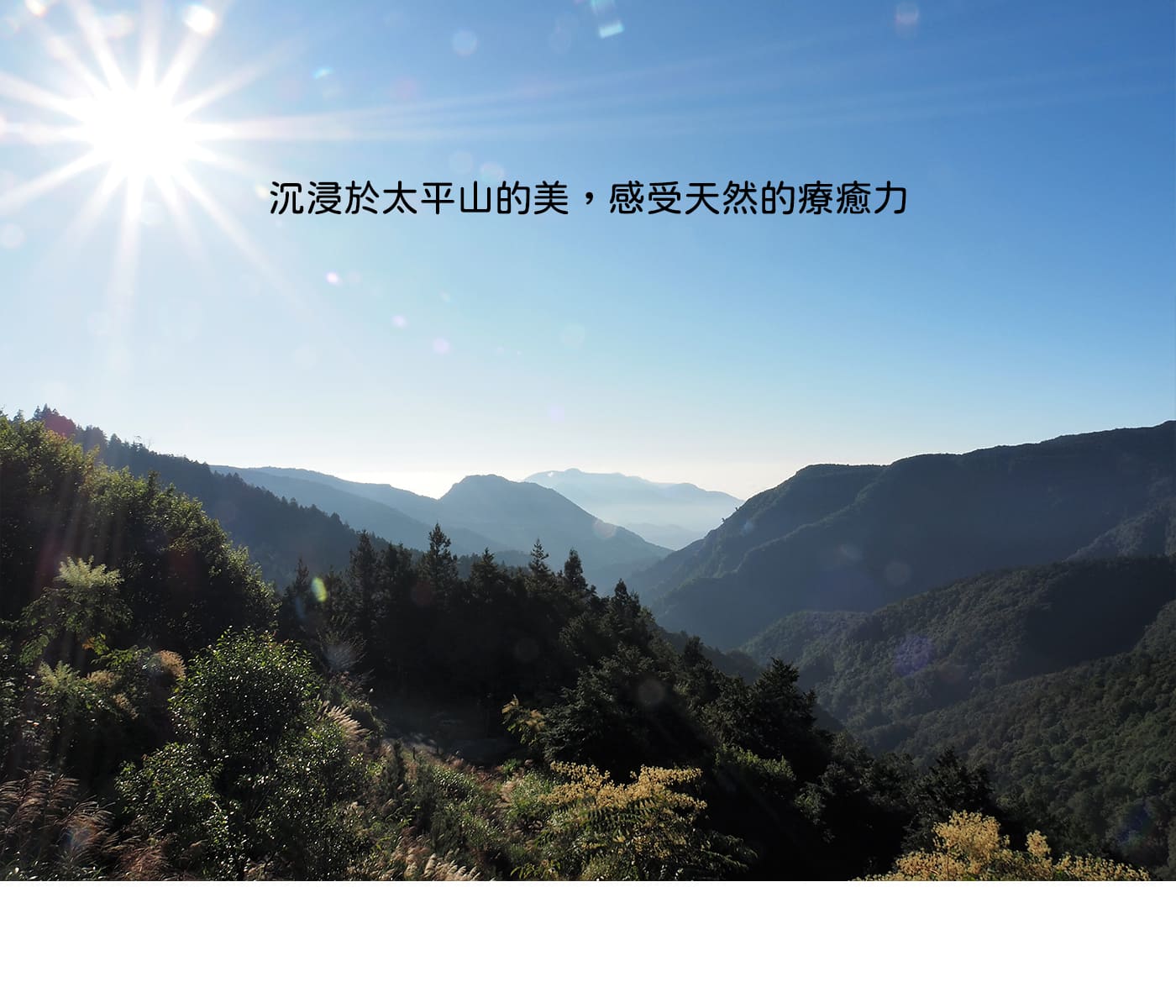 Right One 正一旅遊| 太平山│翠峰湖│鳩之澤三日─天然的療癒力